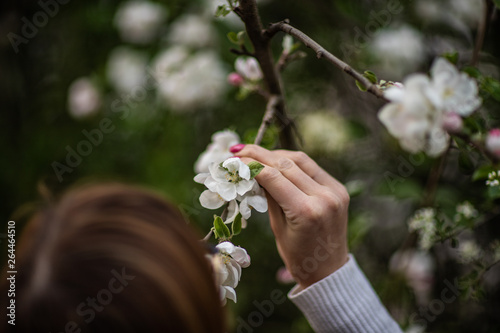 Dziewczyna trzymająca kwiat drzewa w ręce