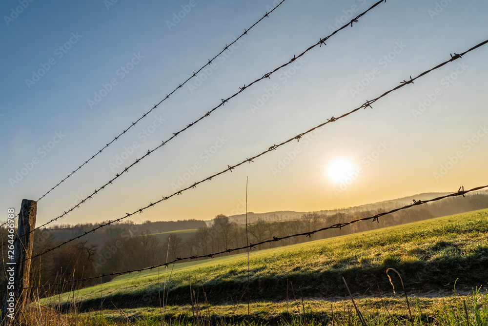Fototapeta premium Barbed wire fence at sunrise