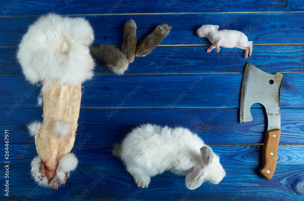 Little white rabbit, a dead newborn rabbit, the pieces of rabbit and the axe on the blue Board Little white rabbit, a dead newborn rabbit, the pieces of rabbit and the axe on the blue Board