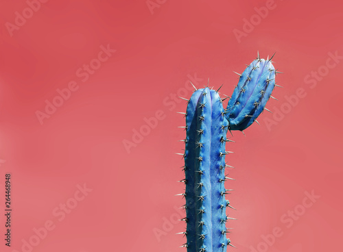 Fototapeta Naklejka Na Ścianę i Meble -  Surrealistic abstract blue thorny cactus with funny shape