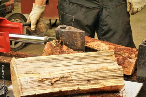 A man working with the firewood to split the logs by the machine in the factory as the background , Spring in Georgia USA.