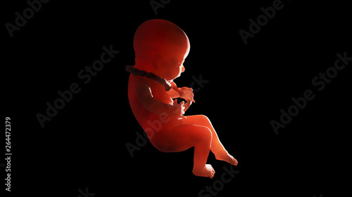 Fotografia 3d illustration of entanglement of umbilical cord around the fetus