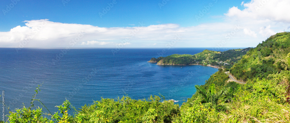 Caribbean Island Bay - Tobago Panorama