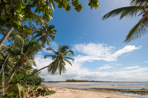 Tropical beach with coconut trees