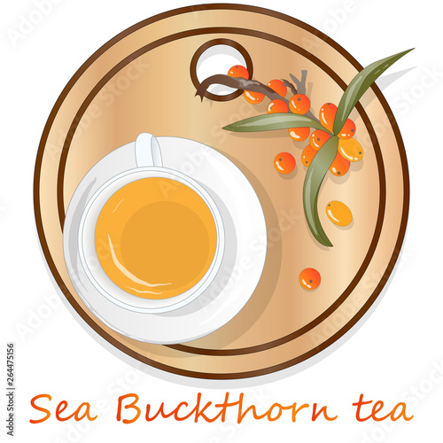 Cup of sea buckthorn tea on the dish. Branch of sea buckthorn berries with leaves. Vector illustration set on white background.