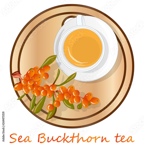Cup of sea buckthorn tea on the dish. Branch of sea buckthorn berries with leaves. Vector illustration set on white background.