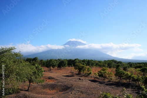 Bali mountain and field landscape
