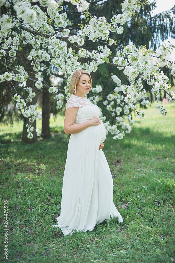 Spring mood, beautiful pregnant woman smell flowering cherry tree, enjoying nature, white floral garden. Spring mood, beautiful pregnant woman smell flowering cherry tree, enjoying nature, white floral garden.