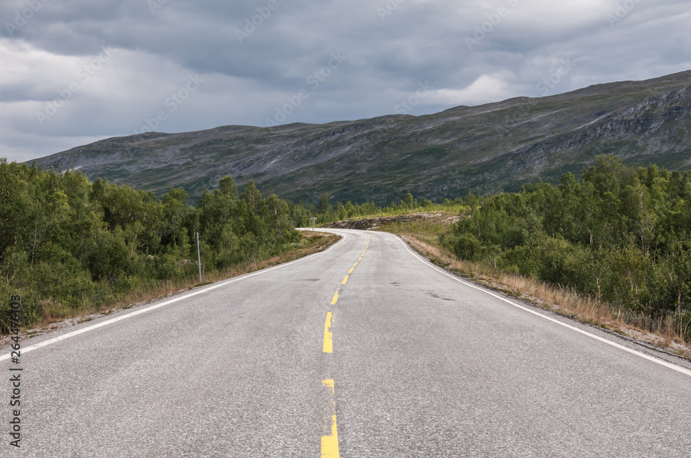 Naklejka premium A road in the Norwegian country side