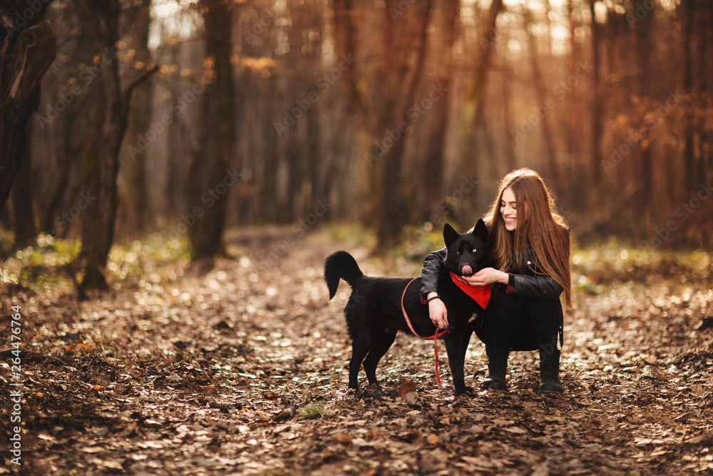 Beautiful woman stroking her dog outdoors. Pretty girl playing and having fun with her pet by name Brovko Vivchar Beautiful woman stroking her dog outdoors. Pretty girl playing and having fun with her pet by name Brovko Vivchar