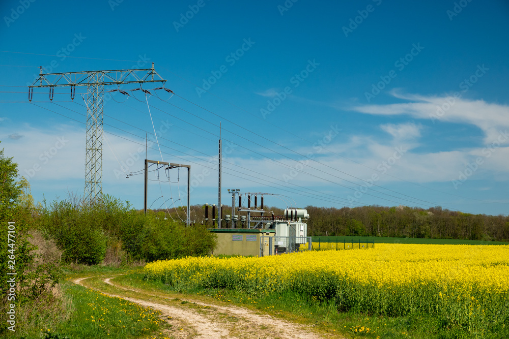 Fototapeta premium an electric transformer station stands on a canola field