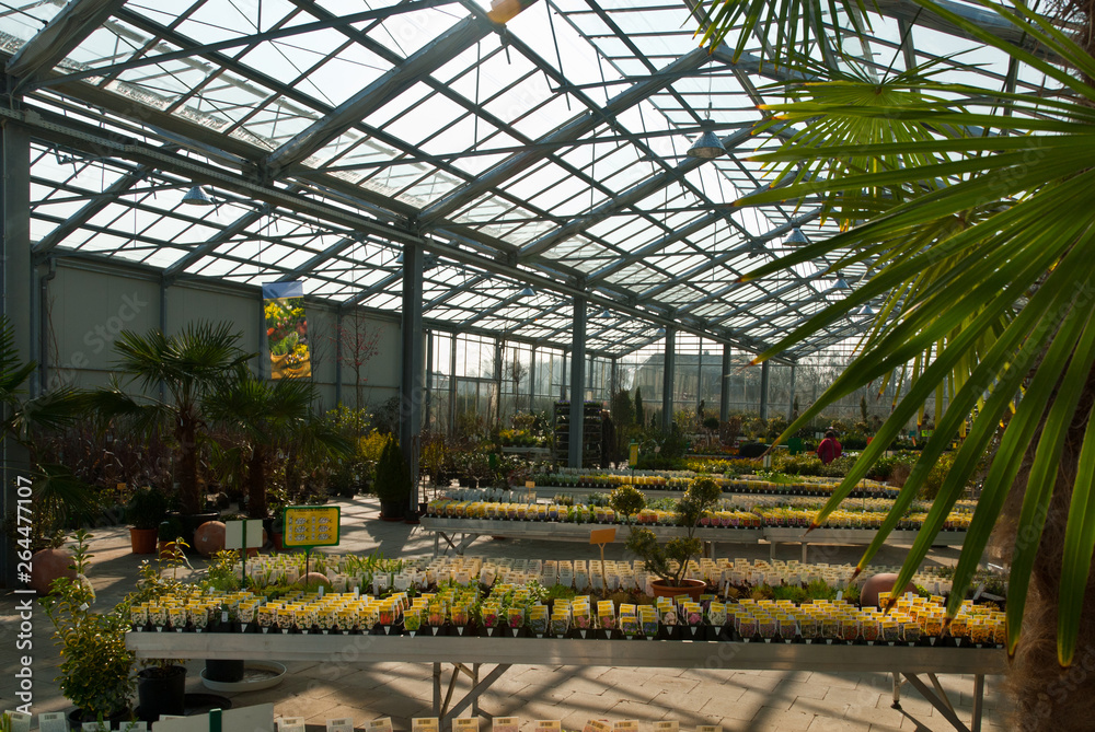 a garden centre with a glass roof under a blue sky