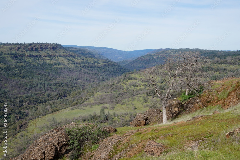 Fototapeta premium Valley