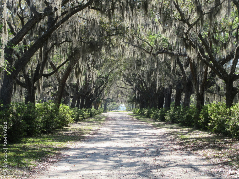 Fototapeta premium Wormsloe Historic site