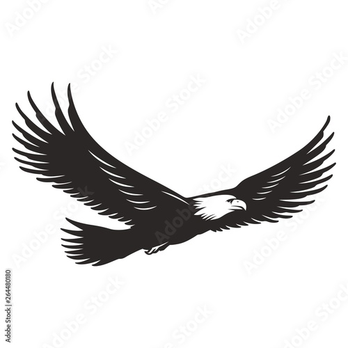 Photo Monochrome flying eagle template