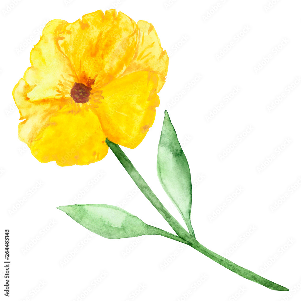 Watercolor hand painted autumn yellow flower with green leaves illustration on the white background Watercolor hand painted autumn yellow flower with green leaves illustration on the white background