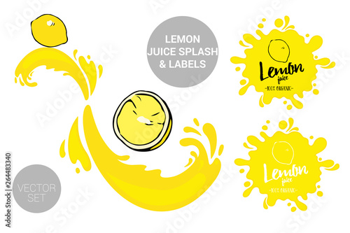 Fruit vector package set of cartoon yellow lemon on juice splashes. Organic fruit labels tags and lemon juice text. Colorful orange piece stickers. Citrus Juicy fruit badges with splash. 