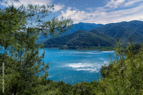 Pine Forest Over Sea in Mugla - Turkey