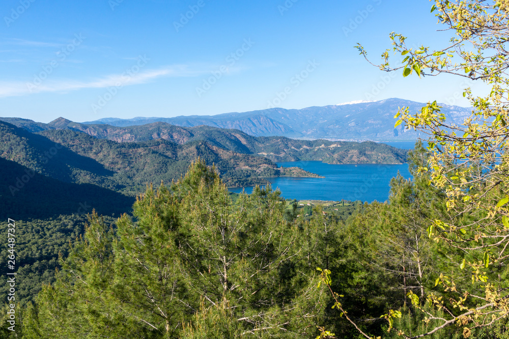 Pine Forest Over Sea in Mugla - Turkey