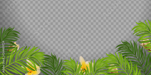 Summer Tropical palm leaves with Thailand flower Frangipani (Plumeria) frame isolated. Summer mood. Palm leaves and flowers of tropical plants. Top view. Vector illustration