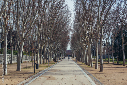 Wide alleway in Madrid Rio public park in Madrid, capital city of Spain photo