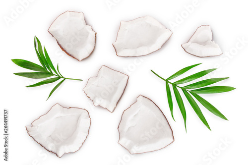piece of coconut with leaves isolated on white background. Top view. Flat lay