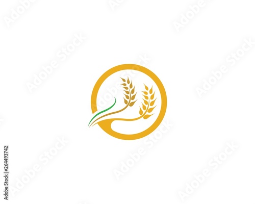 Wheat vector icon illustration © patmasari45