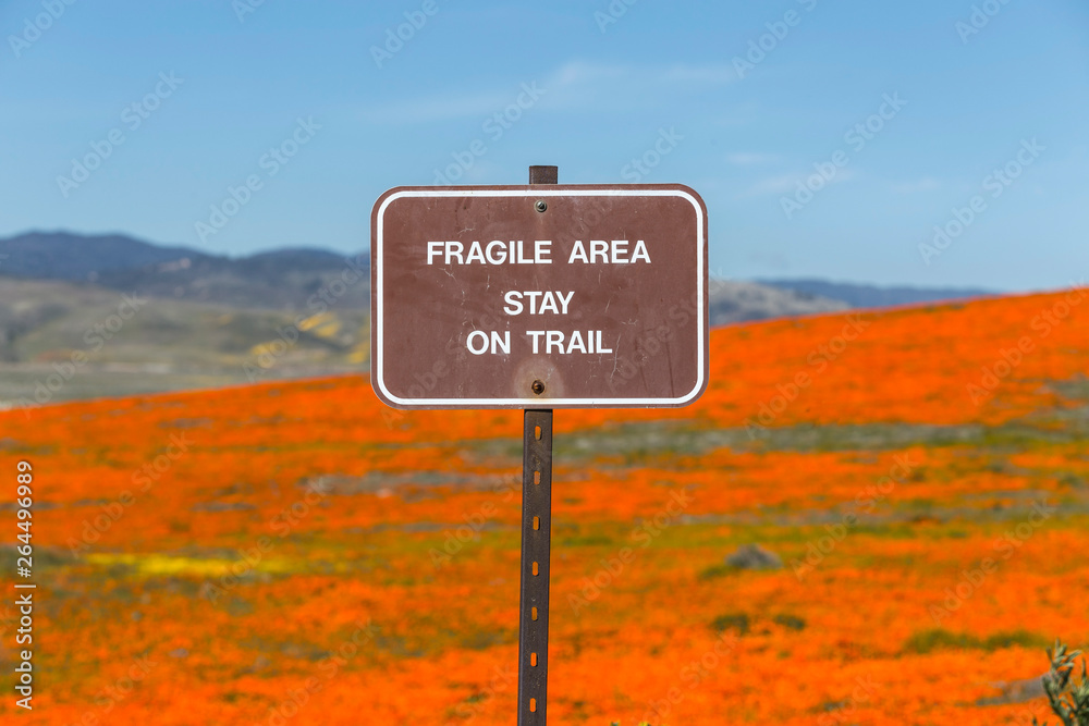 Fragile area stay on trail sign with California poppy meadow.