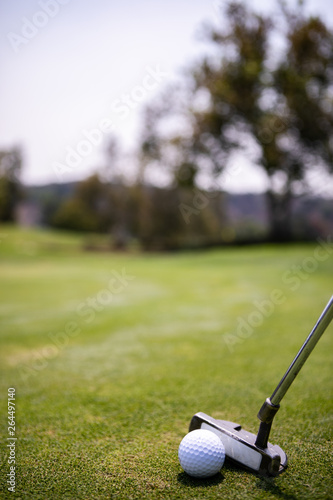 golf club and ball on green grass