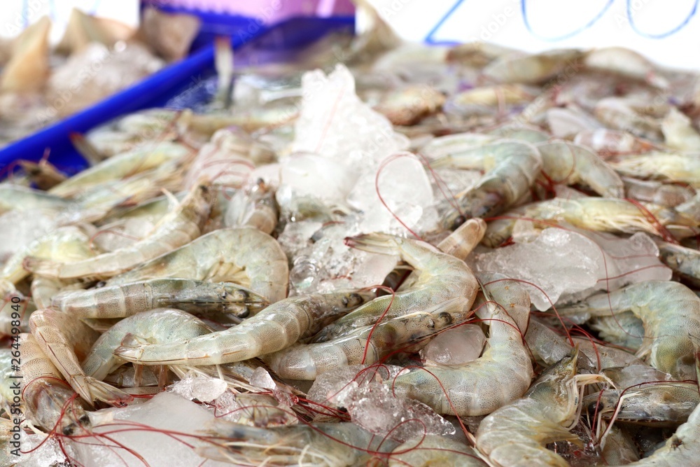 fresh shrimp at street food