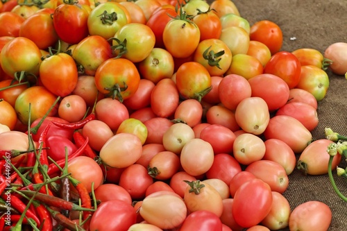tomatoes at the market