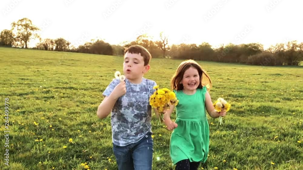 A beautiful shot of sibling children playing in a springtime field A beautiful shot of sibling children playing in a springtime field