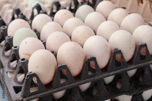 White duck eggs in market