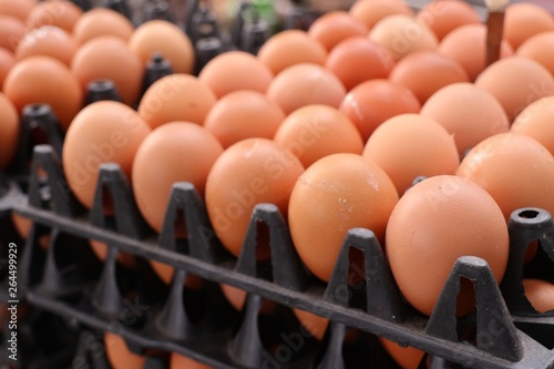 Hen egg in the market