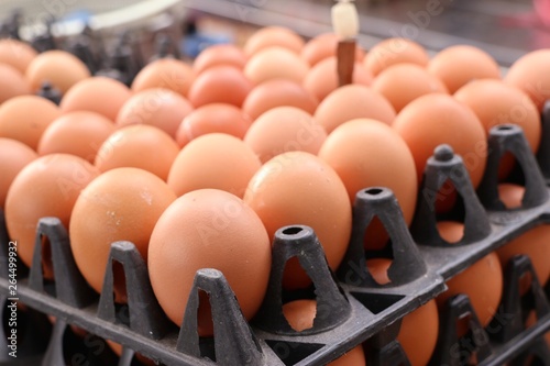 Hen egg in the market