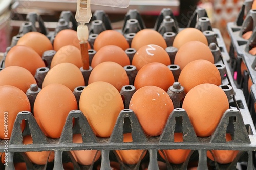 Hen egg in the market