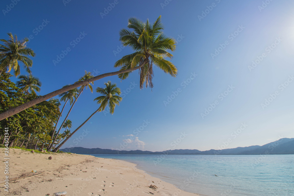 Binga, San Vicente, Palawan, Imuruan Island