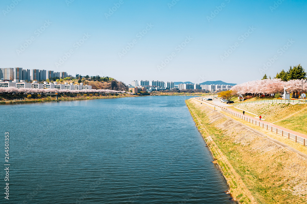 Dongchon riverside park and modern apartment buildings at spring in Daegu, Korea