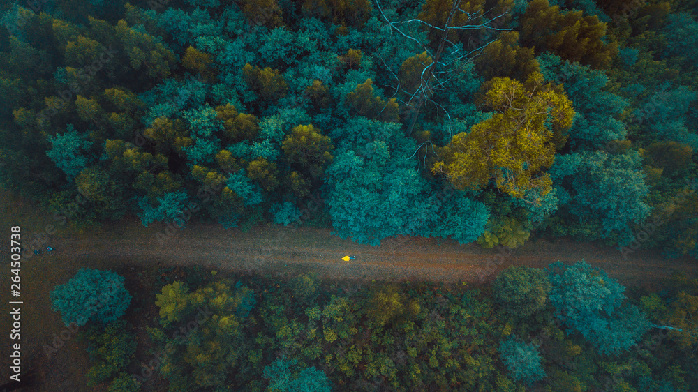 Fototapeta premium Aerial View of Beautiful Australian Forest on a Foggy Day