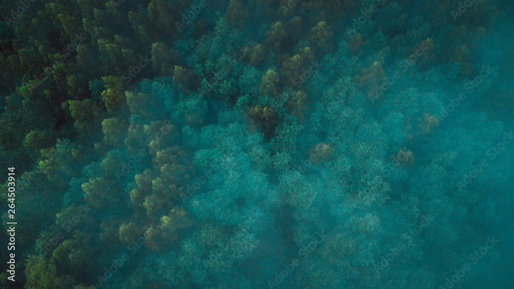Aerial View of Beautiful Australian Forest on a Foggy Day
