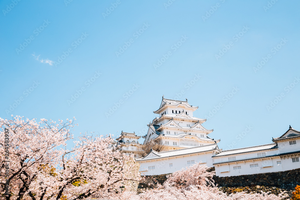 Himeji Castle with spring cherry blossoms in Japan Himeji Castle with spring cherry blossoms in Japan