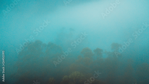 Aerial View of Beautiful Australian Forest on a Foggy Day