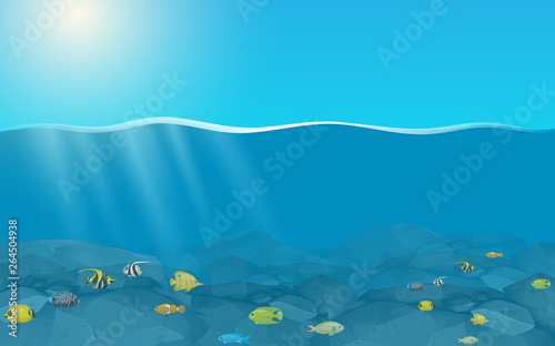 colorful fish under water in the ocean