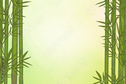 Fototapeta Naklejka Na Ścianę i Meble -  Bamboo tree background