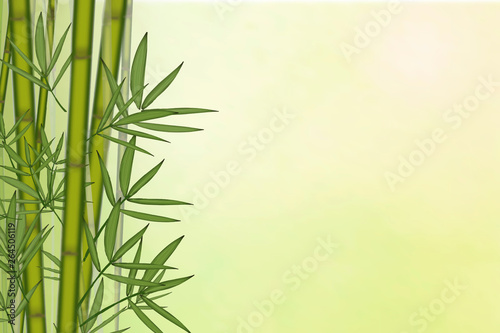 Bamboo tree background