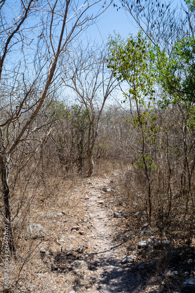 cerro de la vieja cerro de la vieja