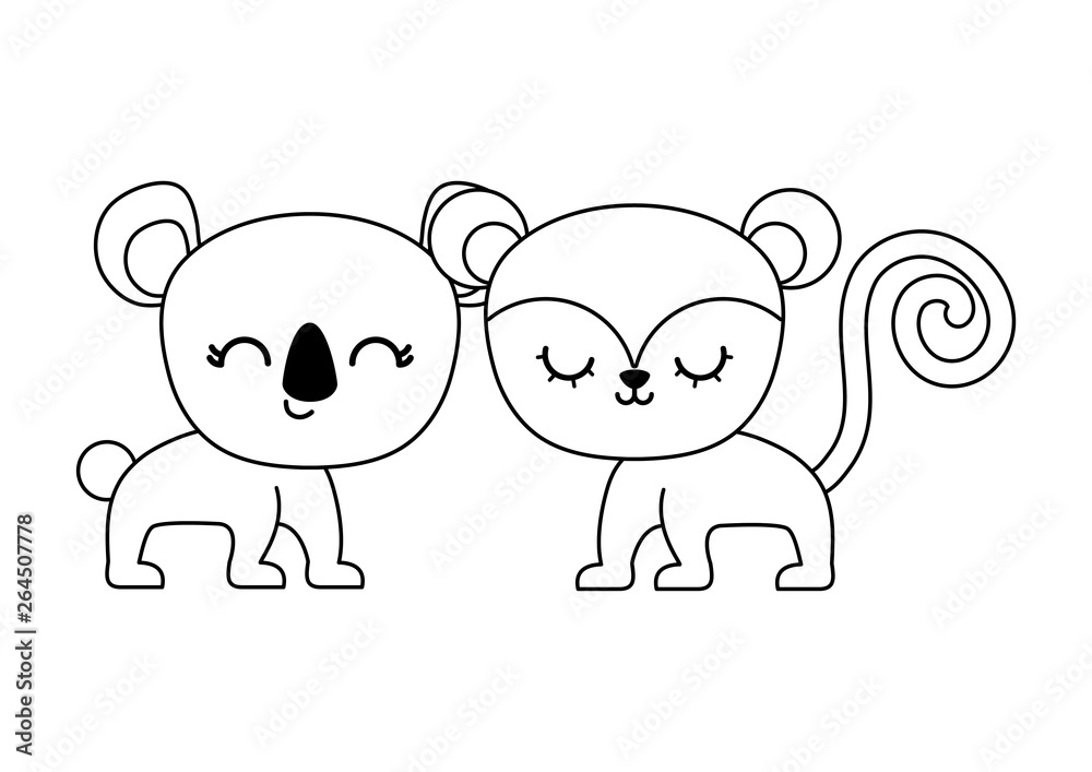 cute monkey with koala animals cute monkey with koala animals