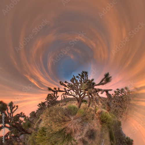 Joshua tree sunset in the mountains