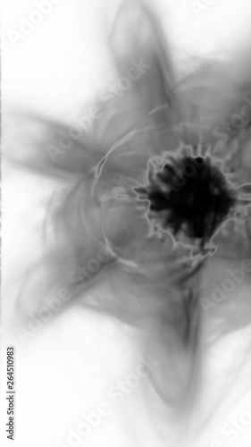 Abstract fractal forms morph and oscillate (Loop)