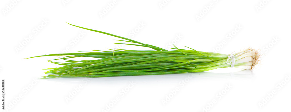 fresh scallion isolated on white background